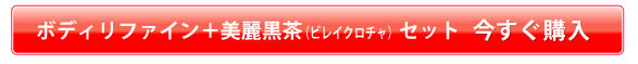 今すぐ購入